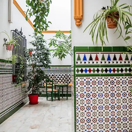 Hostel Triana Backpackers-2